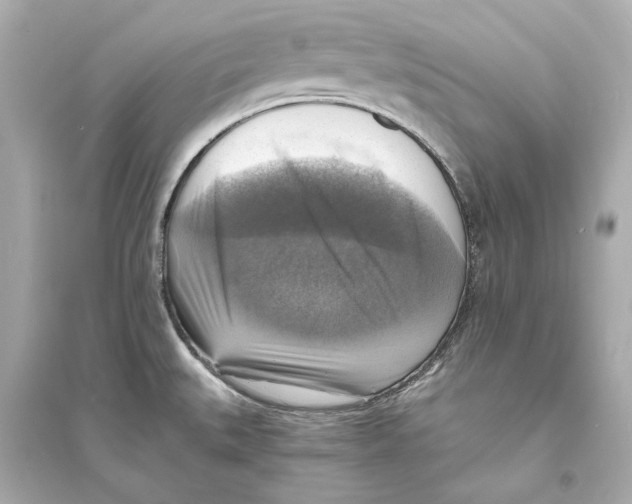 X0000093731527200711131025