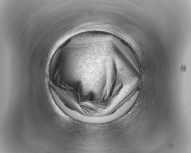 X0000093731528200711131025