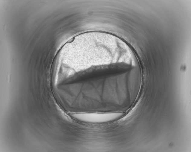 X0000093731529200711131025