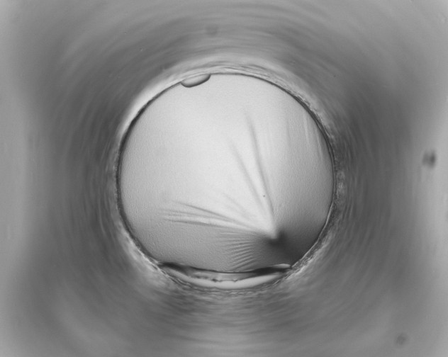 X0000093731530200711131025