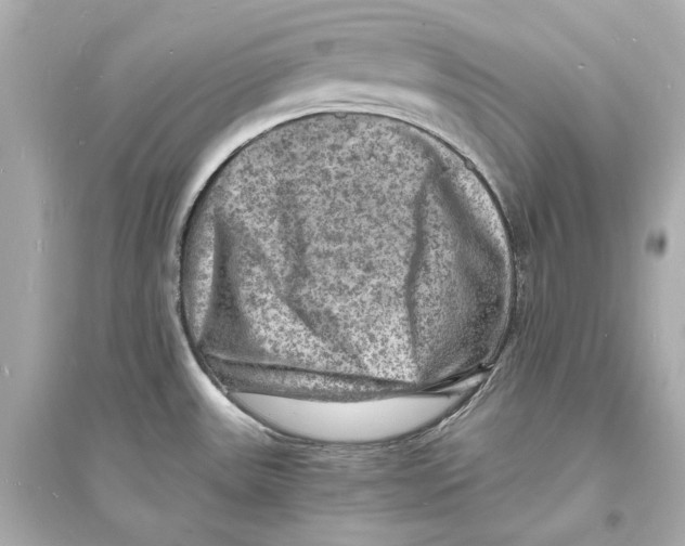 X0000093731531200711131026