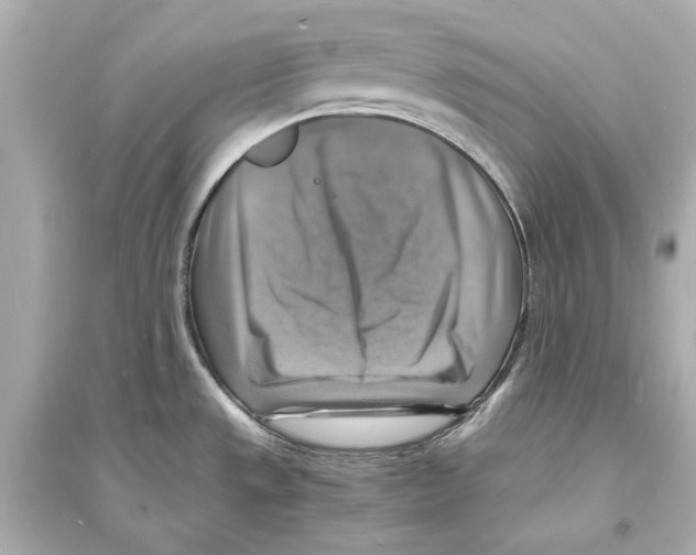 X0000093731533200711131026