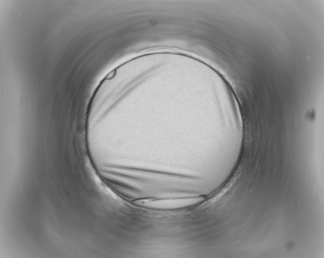 X0000093731534200711131026