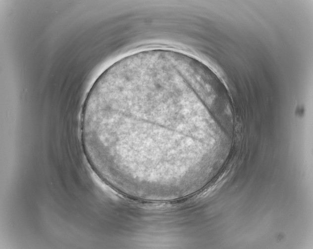 X0000093731535200711131026