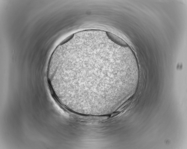 X0000093731536200711131026