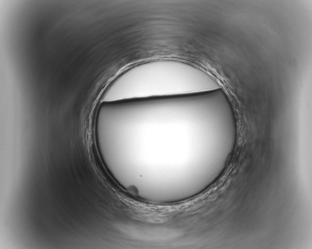 X0000093740002200710160759