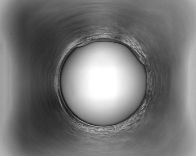 X0000093740003200710160759