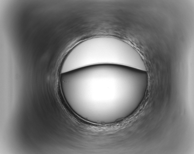 X0000093740005200710160759