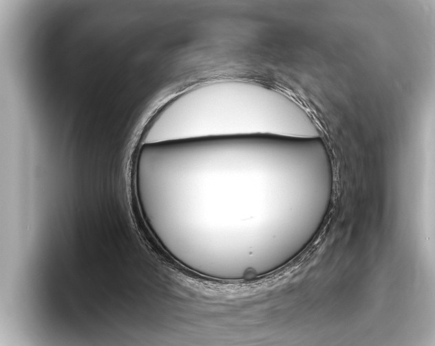X0000093740006200710160759