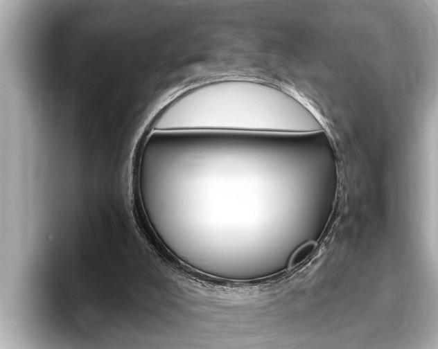 X0000093740008200710160759