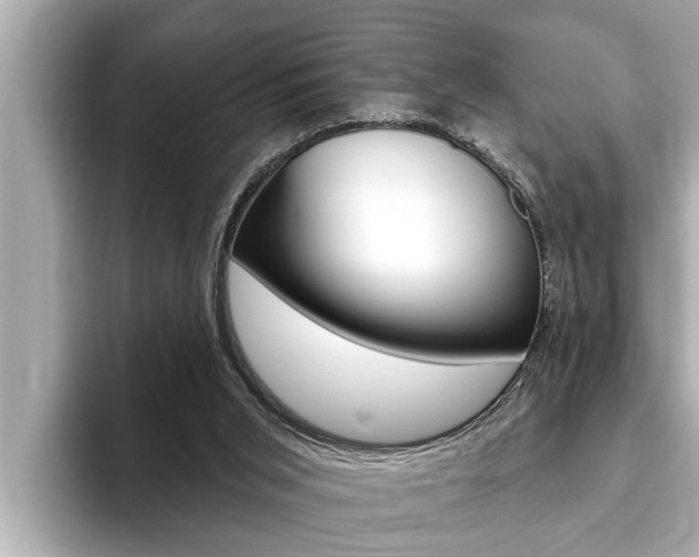 X0000093740015200710160759