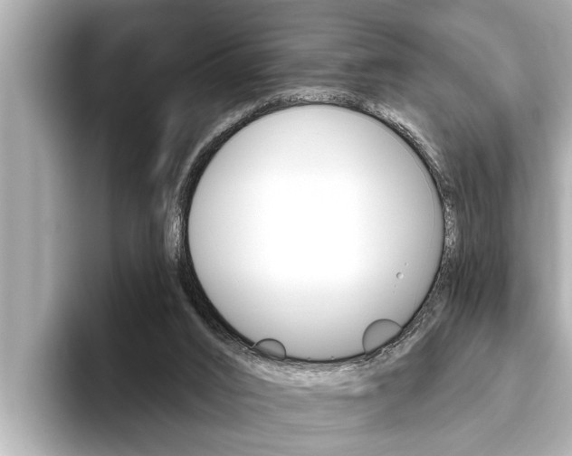 X0000093740016200710160759