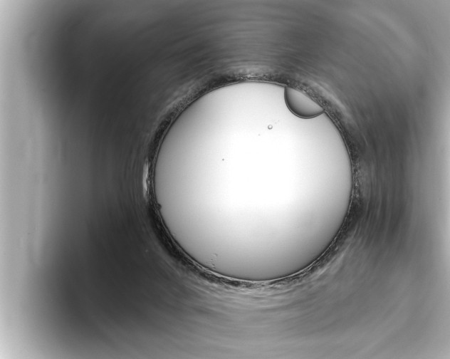 X0000093740024200710160759