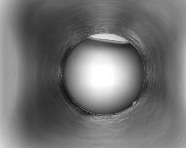 X0000093740029200710160759