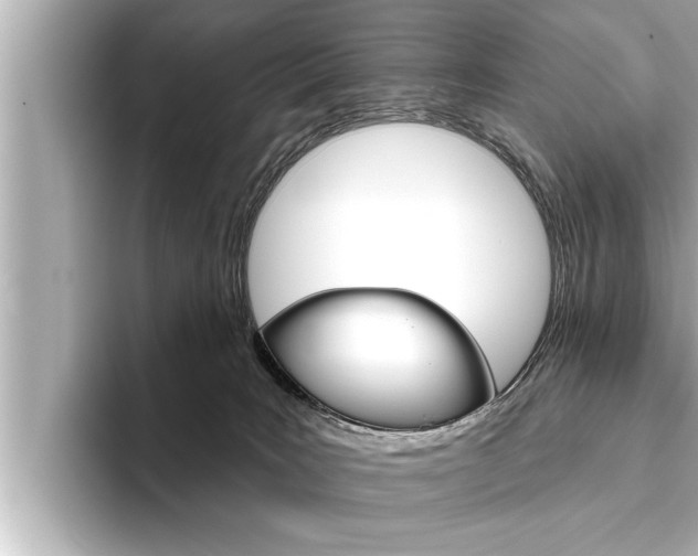 X0000093740035200710160759