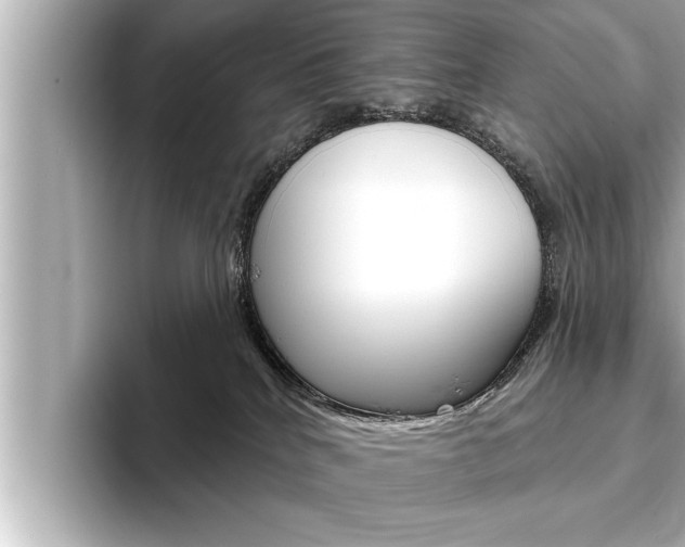 X0000093740040200710160759