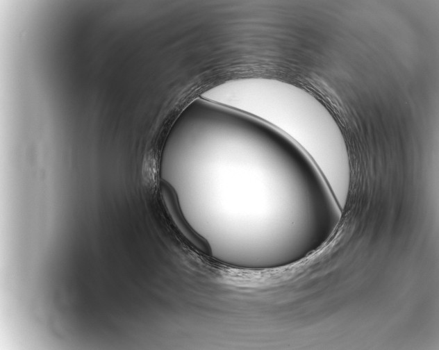 X0000093740045200710160759