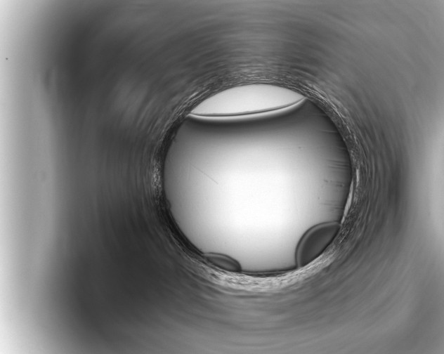 X0000093740048200710160759