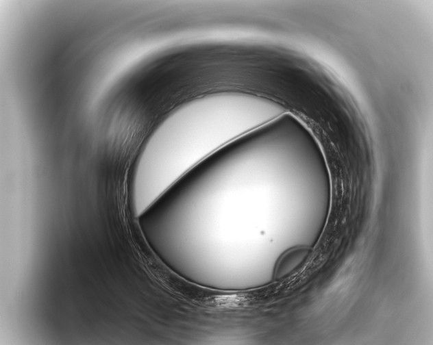 X0000093740050200710160758