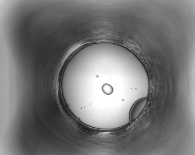 X0000093740054200710160758