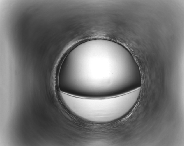 X0000093740056200710160758