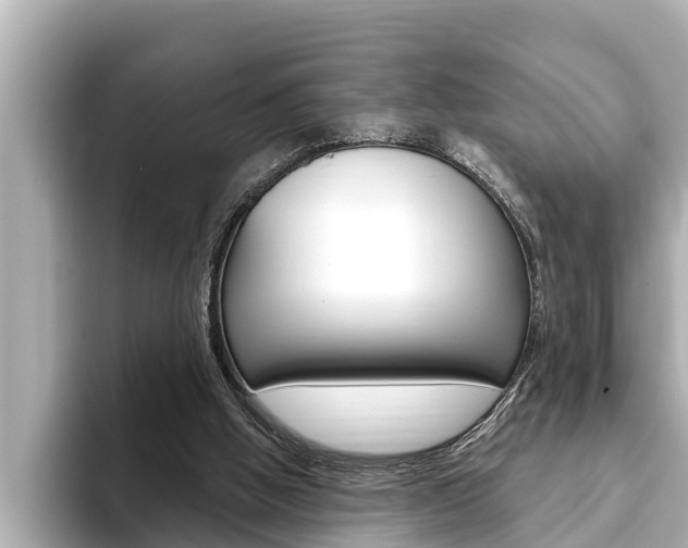 X0000093740058200710160758