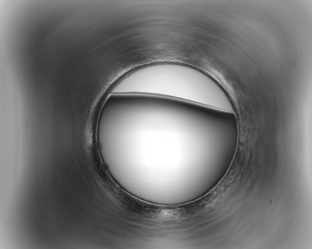 X0000093740060200710160758