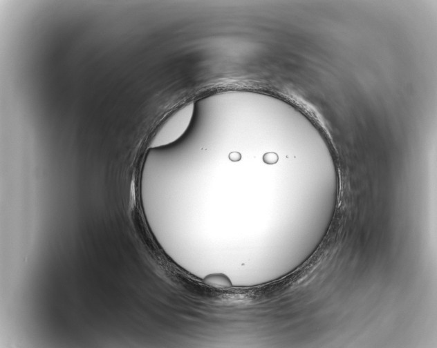 X0000093740061200710160758