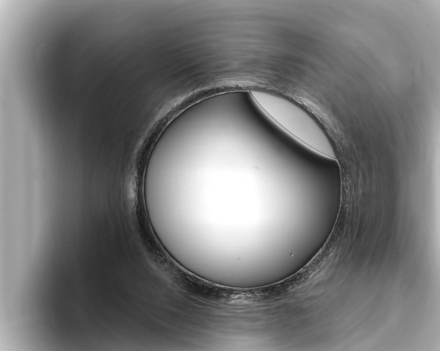 X0000093740064200710160758
