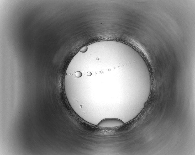 X0000093740065200710160758