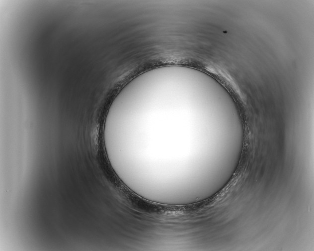 X0000093740066200710160758