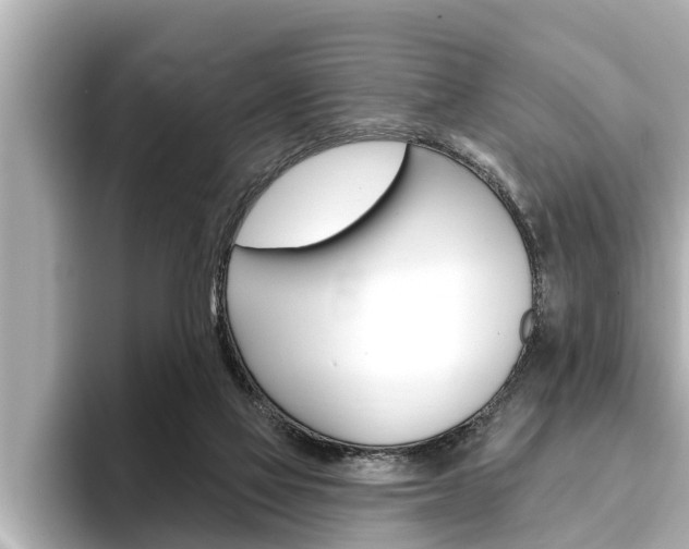 X0000093740069200710160758