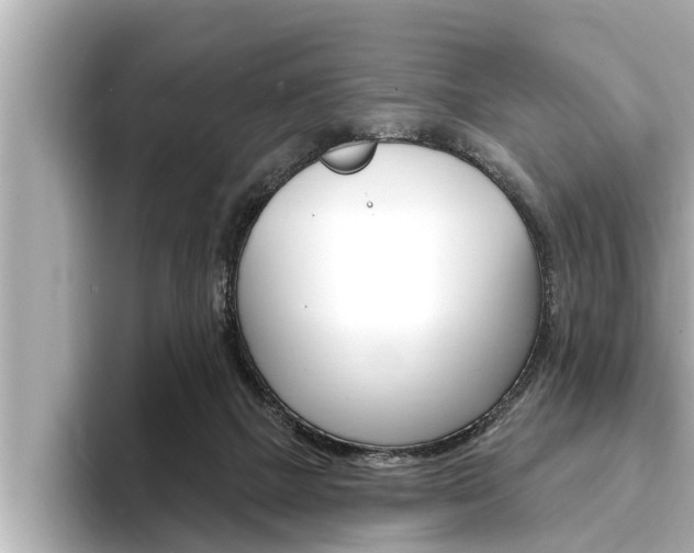 X0000093740073200710160758
