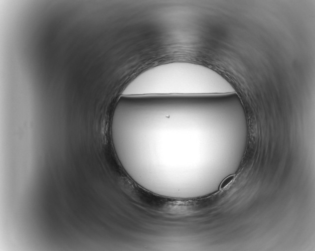 X0000093740082200710160758