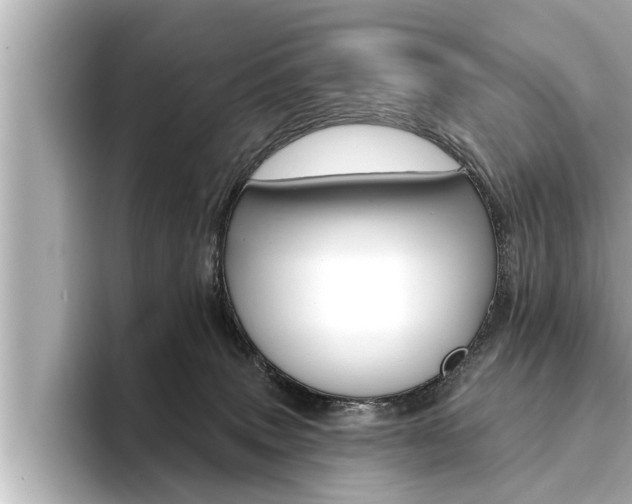 X0000093740083200710160758