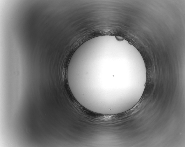 X0000093740090200710160759