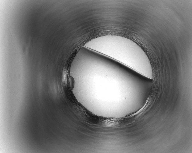 X0000093740094200710160759