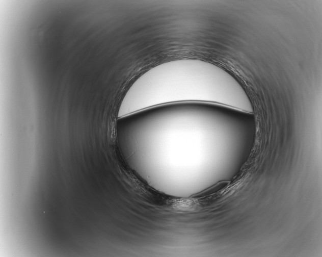 X0000093740096200710160759