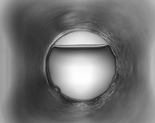 X0000093740100200710160758