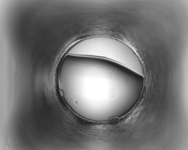 X0000093740103200710160758