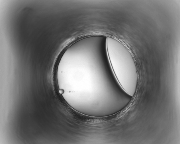 X0000093740104200710160758