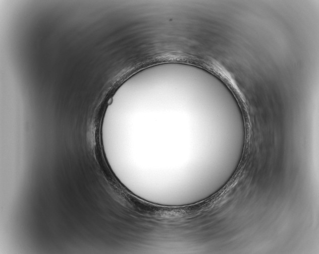 X0000093740106200710160758