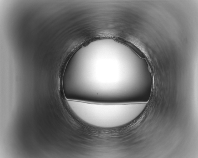 X0000093740109200710160758