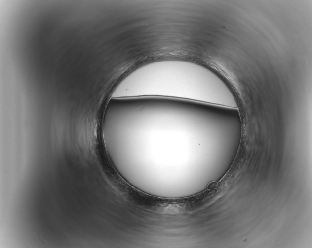 X0000093740115200710160758