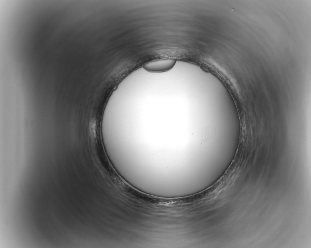 X0000093740117200710160758
