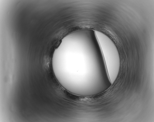 X0000093740125200710160758
