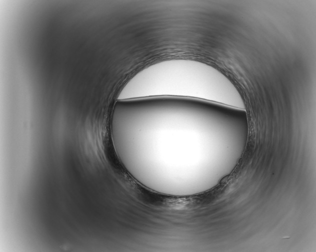 X0000093740131200710160758