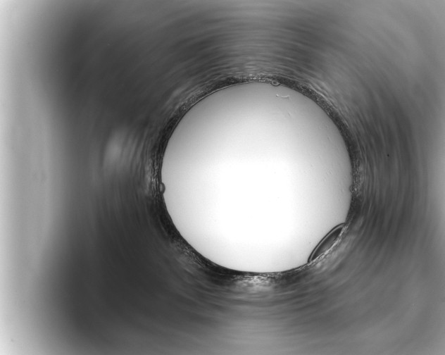 X0000093740140200710160757