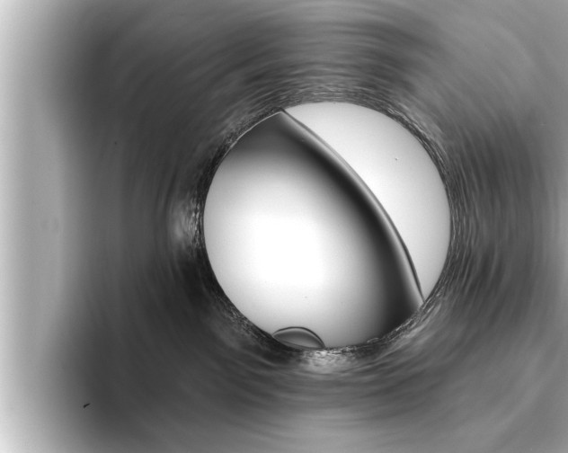 X0000093740141200710160757