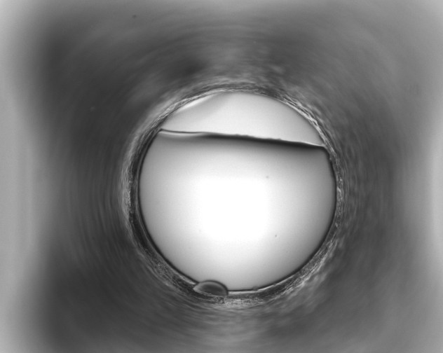 X0000093740149200710160757